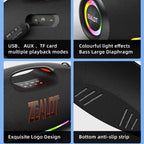 Haut-parleur Bluetooth Portable - ZEALOT-S89.