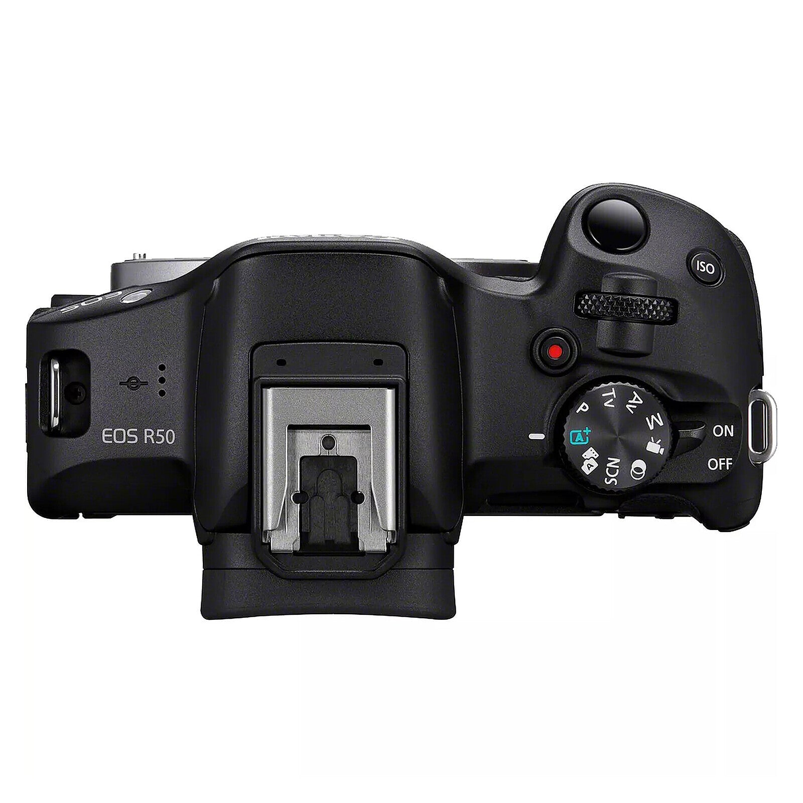 Appareil Photo Hybride APS-C 4K - Canon EOS R50.