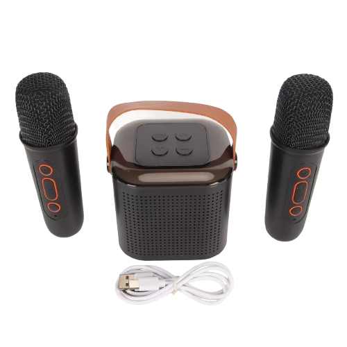 Microphone Haut-parleur multifonctionnel - D20.