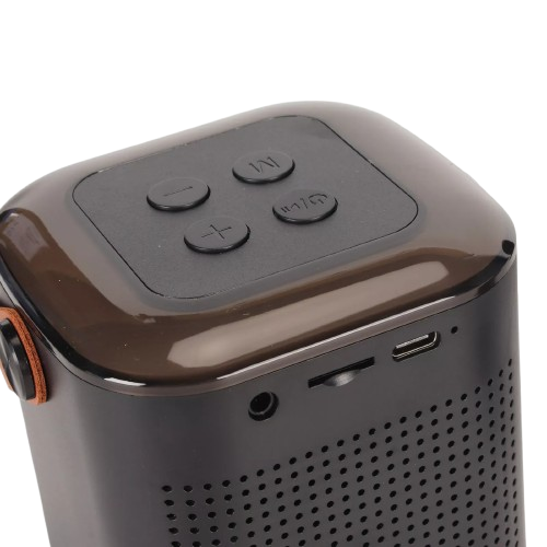 Microphone Haut-parleur multifonctionnel - D20.