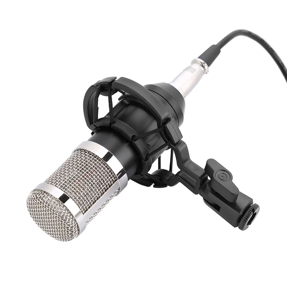 Microphone Condensateur Cardioïde Studio - Type BM800.