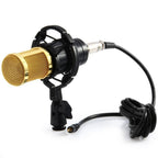 Microphone Condensateur Cardioïde Studio - Type BM800.