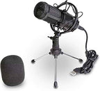 Microphone Condensateur Cardioïde Studio - Type BM800.