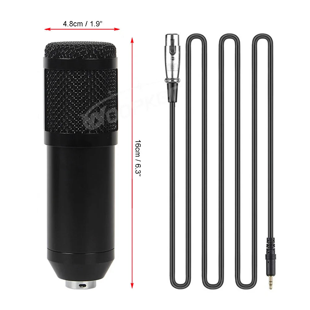 Microphone Condensateur Cardioïde Studio - Type BM800.