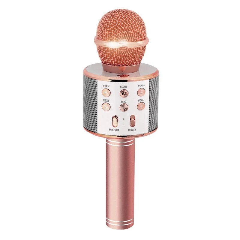Microphone de karaoké sans fil - VVS-858.