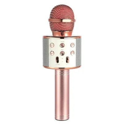 Microphone de karaoké sans fil - VVS-858.